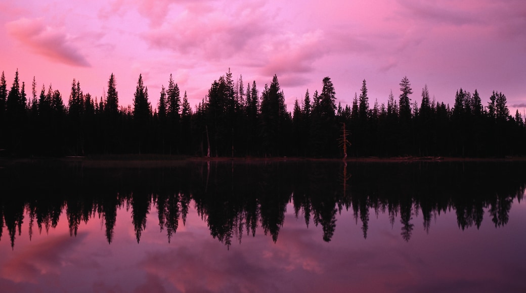 La Pine, Oregon, United States of America