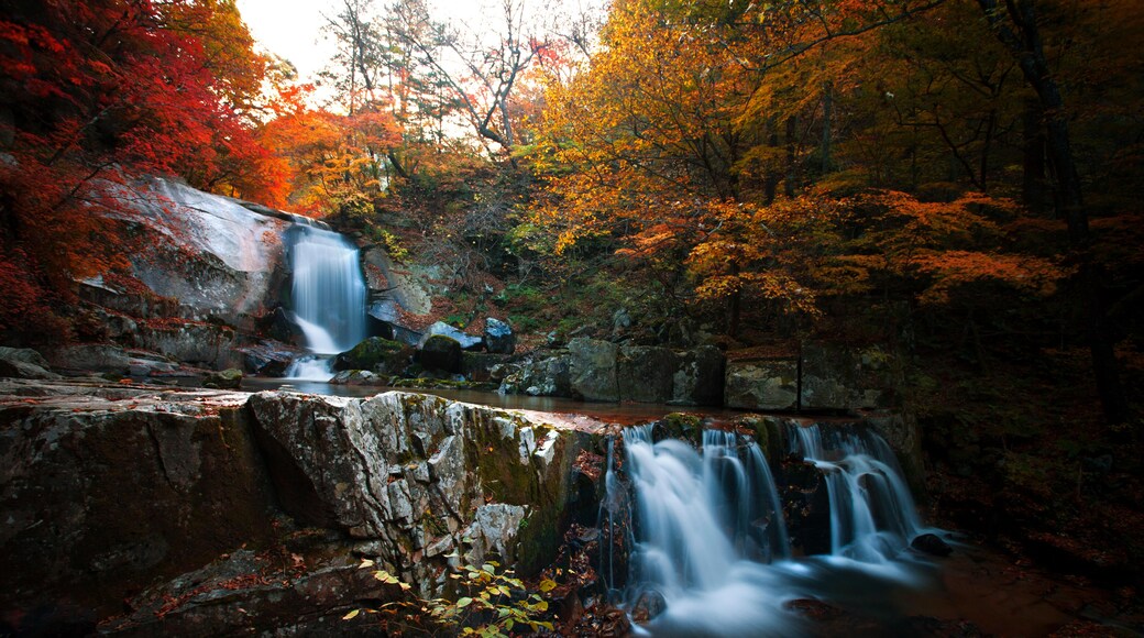 Bangtaesan Recreational Forest