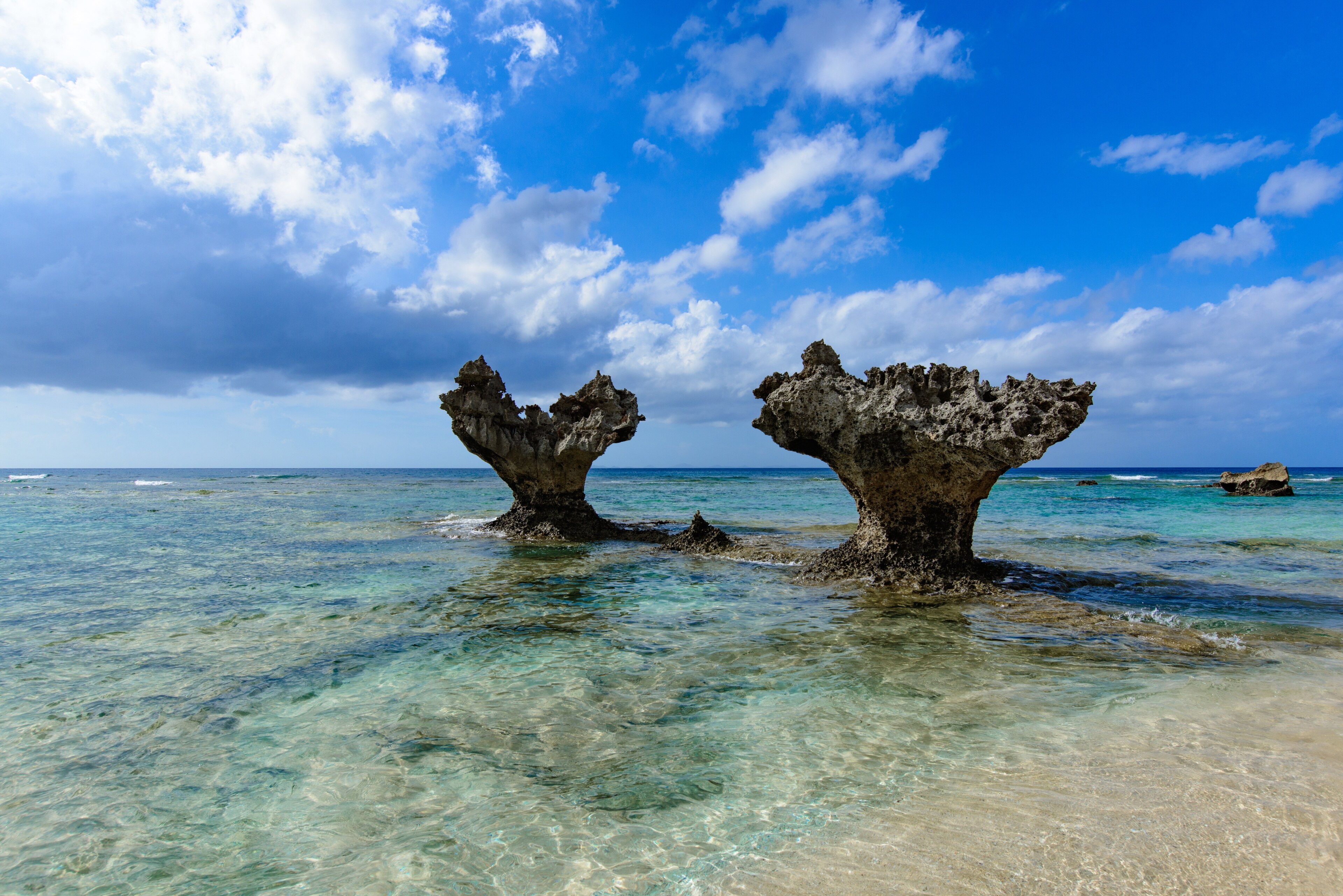 Kunigami okinawa