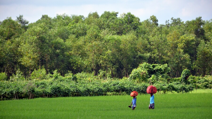 bangladesh trip