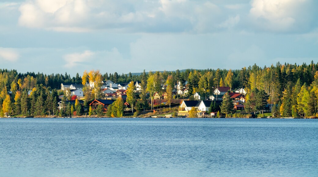 Ludvika, Dalarnas (provincie), Zweden