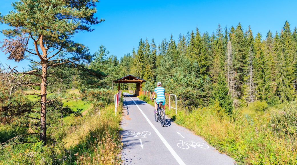 Beskids