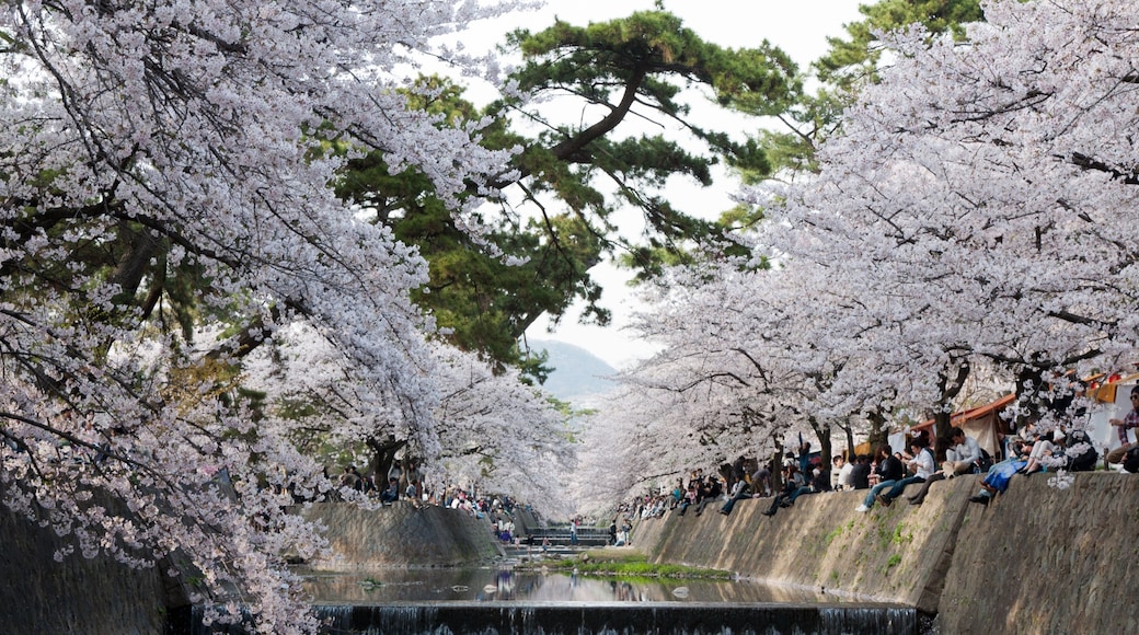 夙川河川敷綠地公園