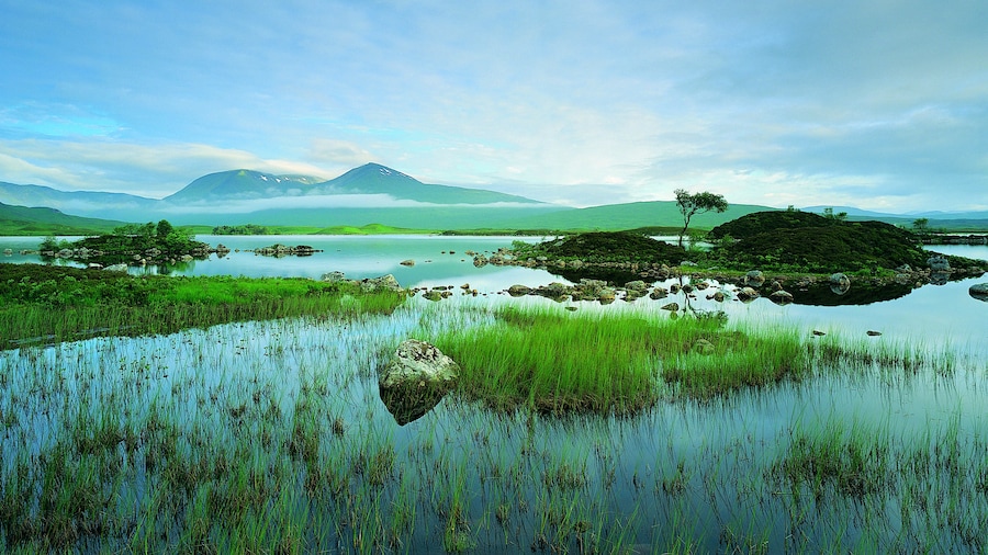 Rannoch Moor