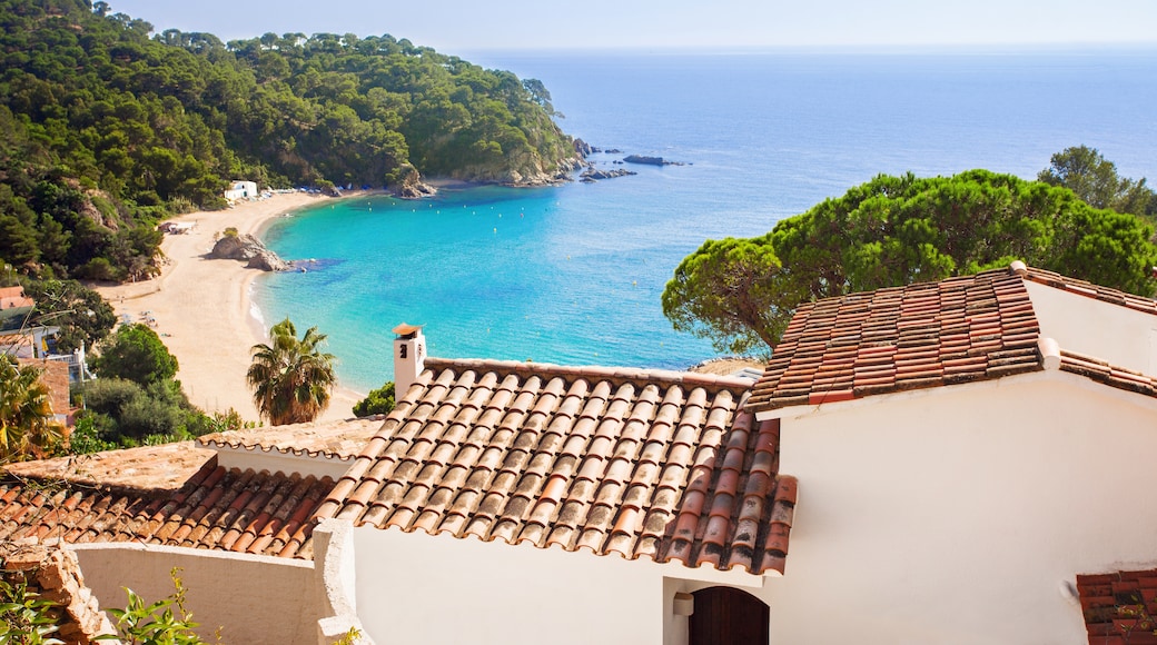 Catalonia Caribe Golf Club