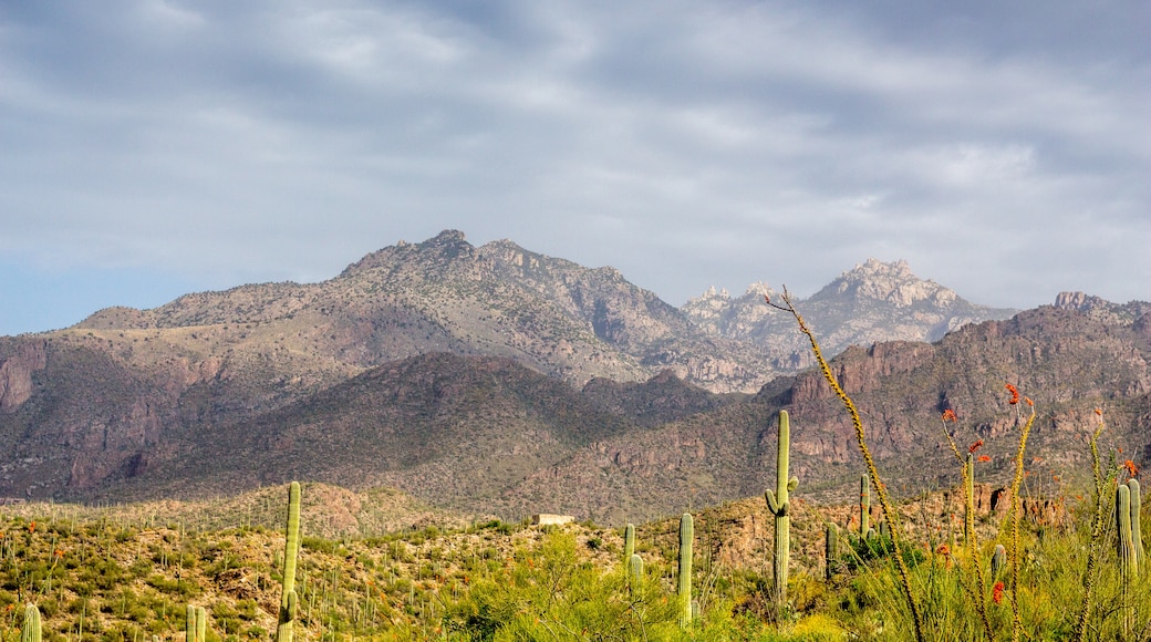 Mount Lemmon, Arizona, United States of America