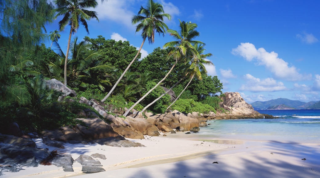 Anse Volbert Beach, Praslin Island, Baie Sainte Anne, Seychelles