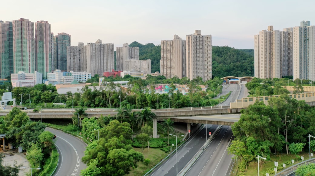 Σάι Κουνγκ, Νέα Εδάφη, Ειδική Διοικητική Περιοχή του Χονγκ Κονγκ