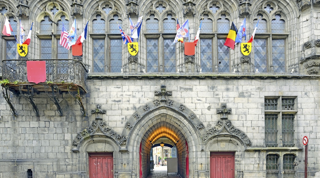Stadhuis van Oudenaarde, Oudenaarde, Vlaanderen, België