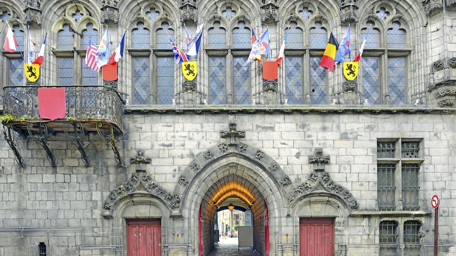 Ayuntamiento y campanario de Oudenaarde