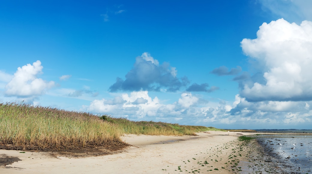 Nordseeküste von Schleswig-Holstein