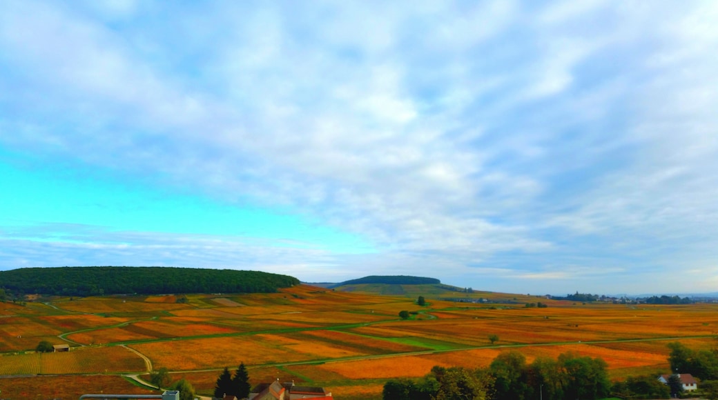 Morvan Regional Natural Park