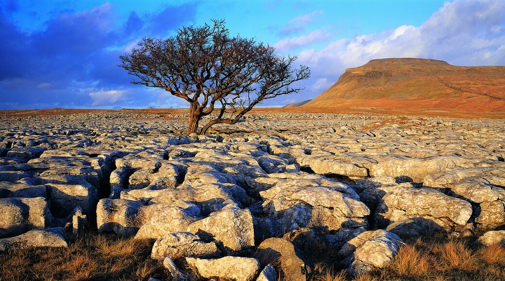 Parque Nacional Yorkshire Dales