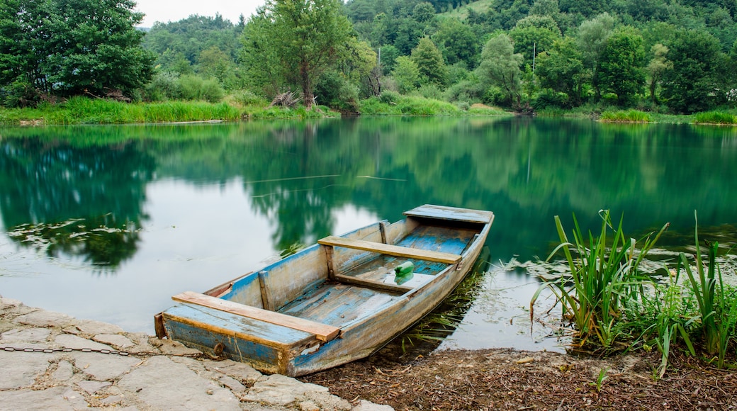 Føderasjonen Bosnia-Hercegovina