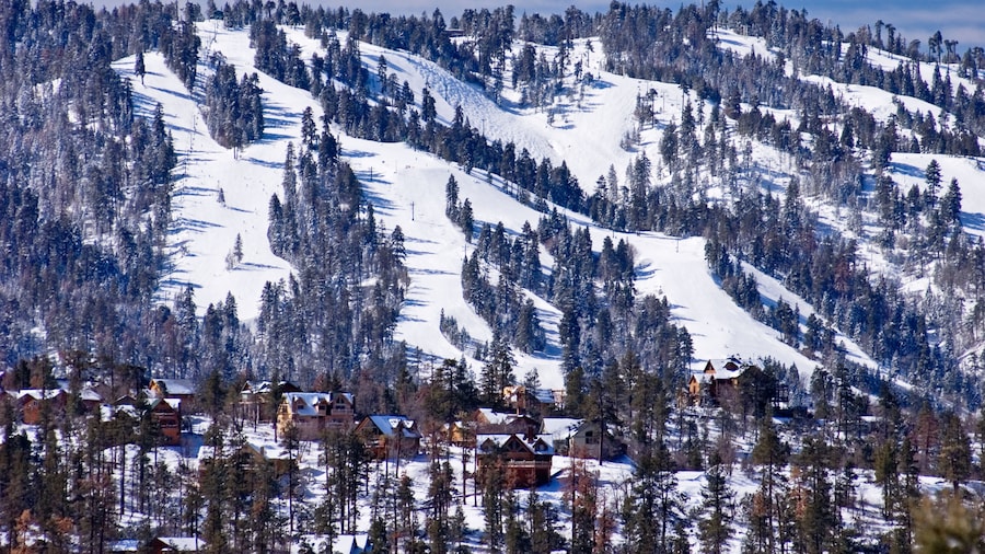 Snow Summit