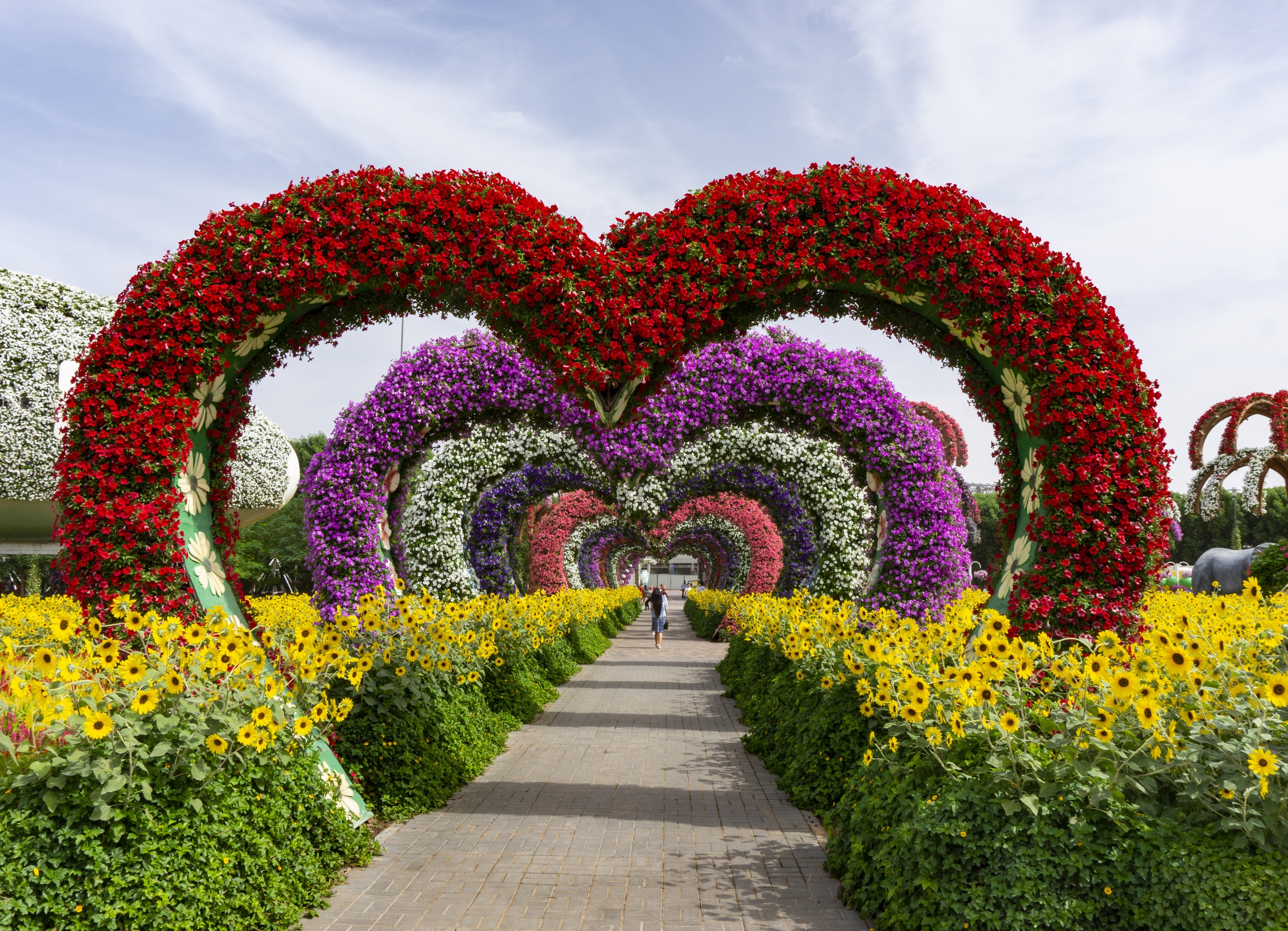 Dubai's Miracle Garden: The Chelsea Flower Show on steroids? - BBC News