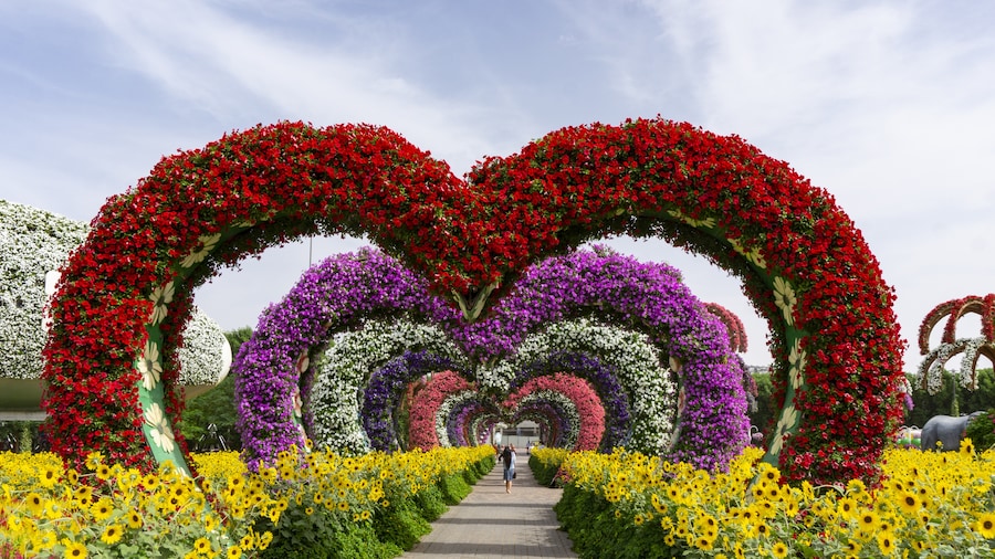 Dubai Miracle Garden