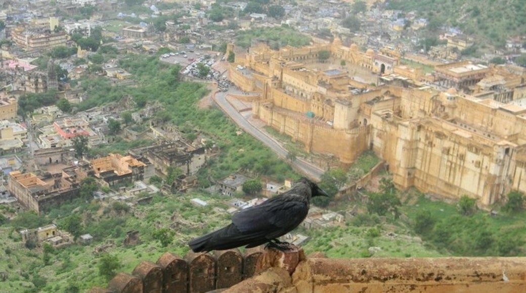 Amer, Rajasthan, India