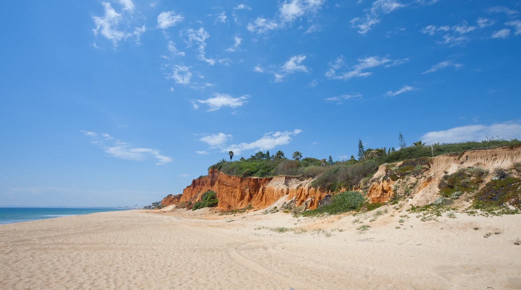 Vale do Lobo