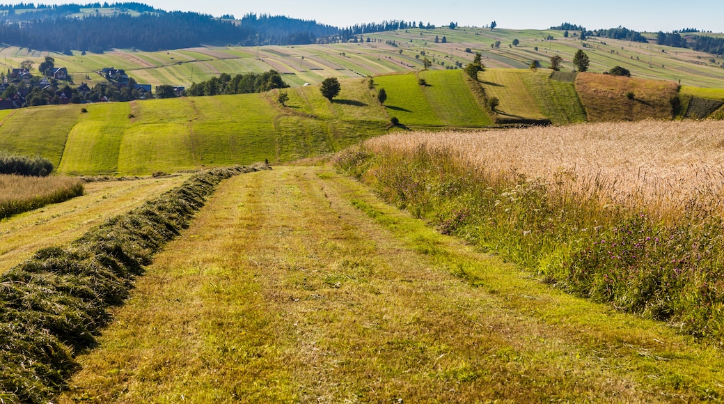 โบสถ์ไม้ Tserkvas ของภูเขา Carpathian ในประเทศโปแลนด์และยูเครน