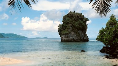 guided trips to american samoa