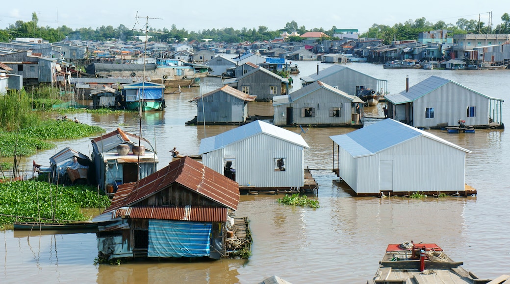 Hồng Ngự