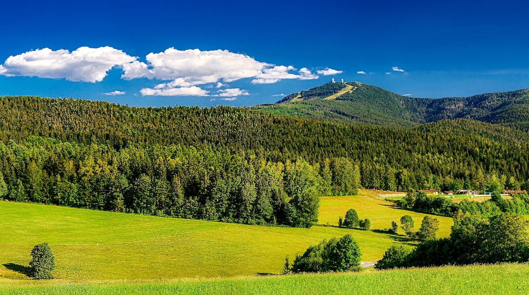 Bavarian Forest Nature Park