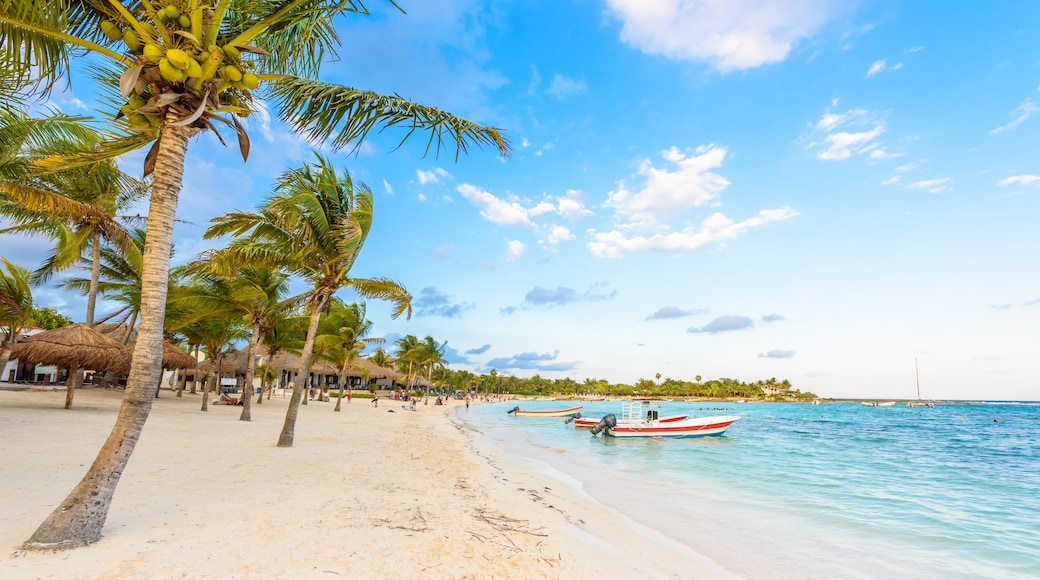 Strand von Akumal, Akumal, Quintana Roo, Mexiko