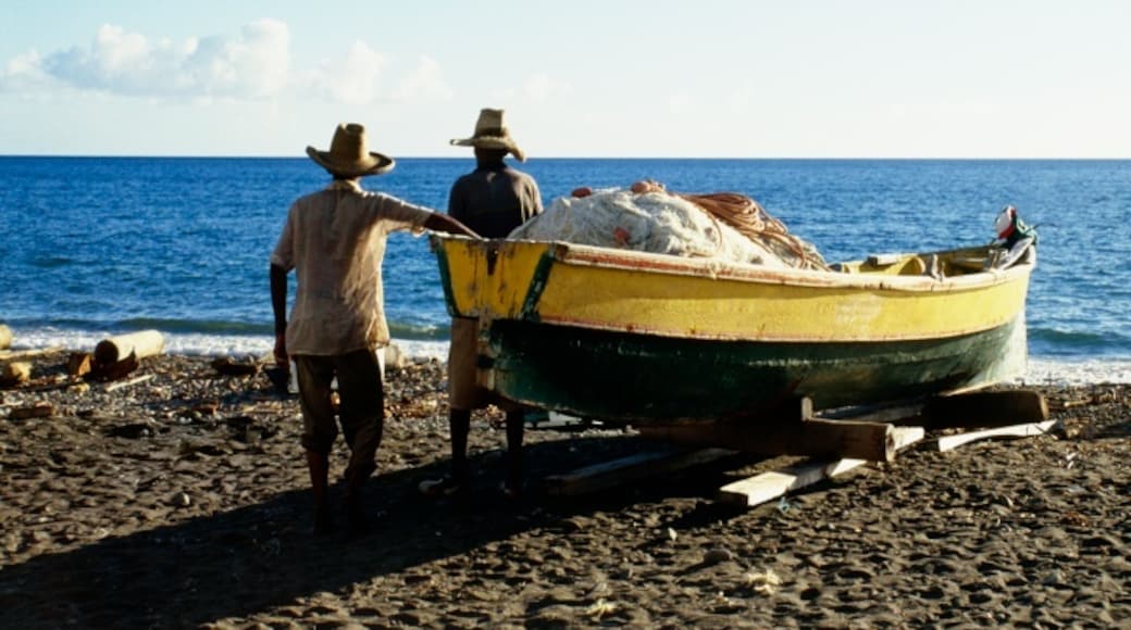 Kanton Gros-Morne