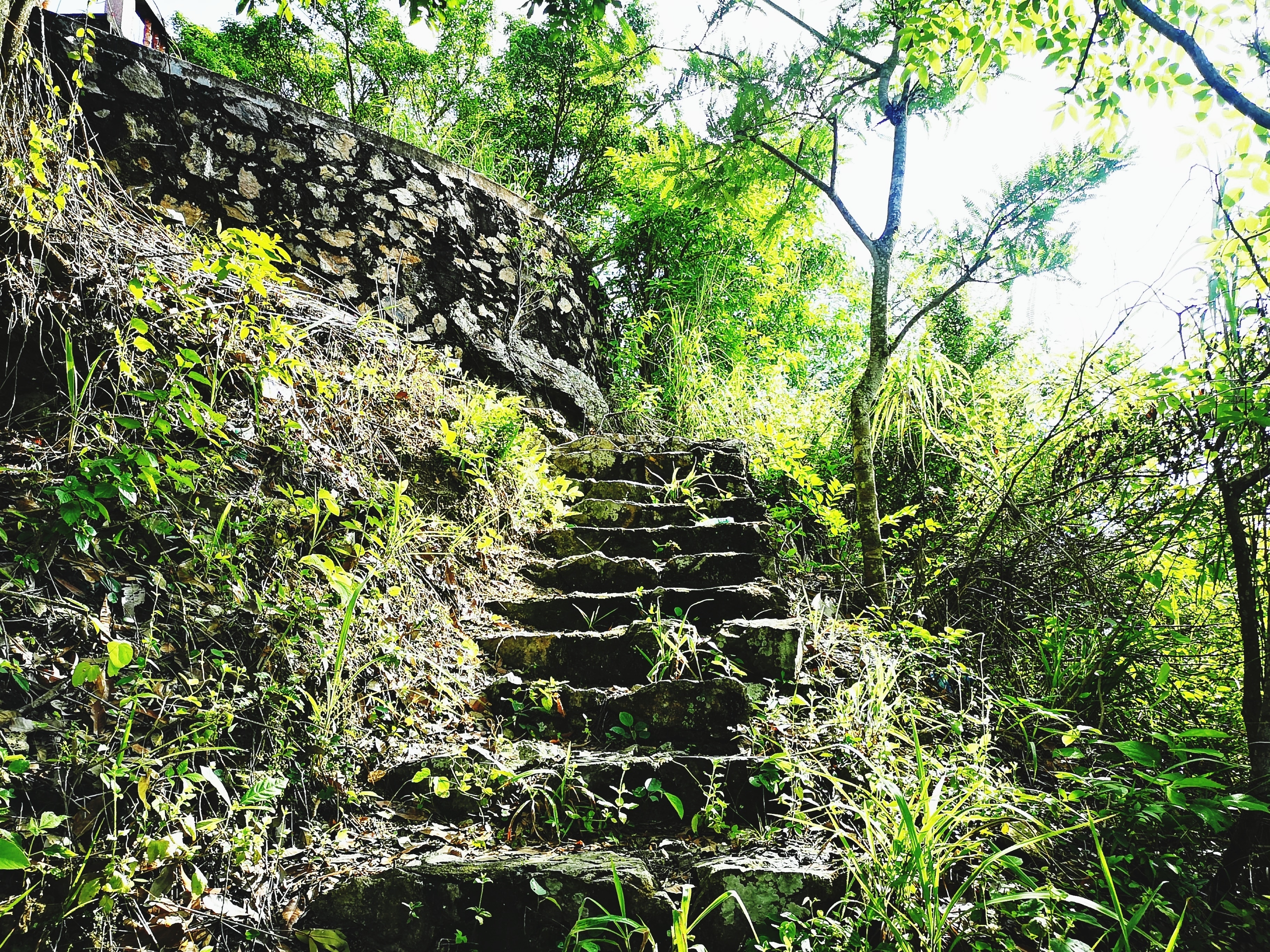 <h2>Top luxury accommodations in Maoming</h2>