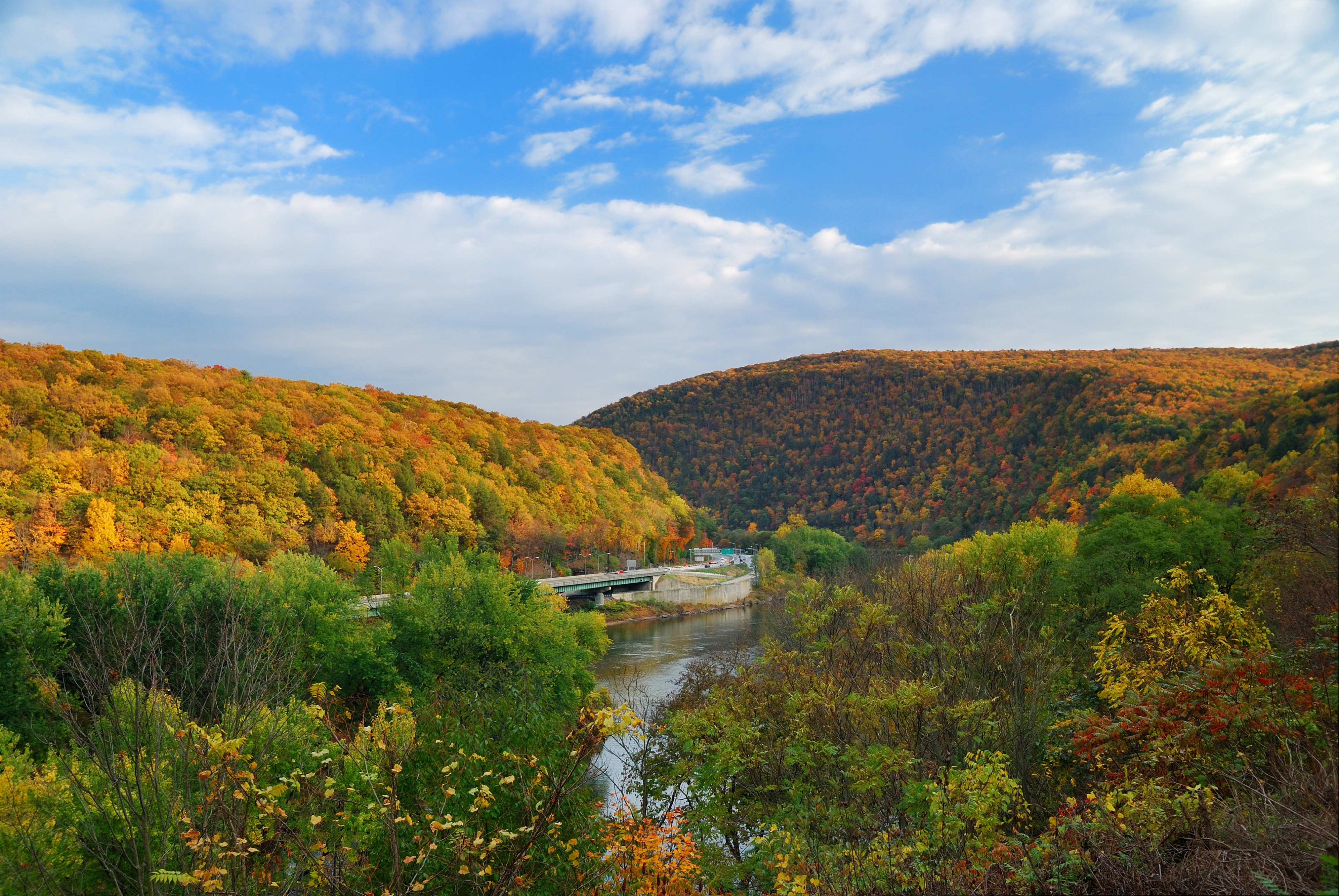 Roadside River Background Pack