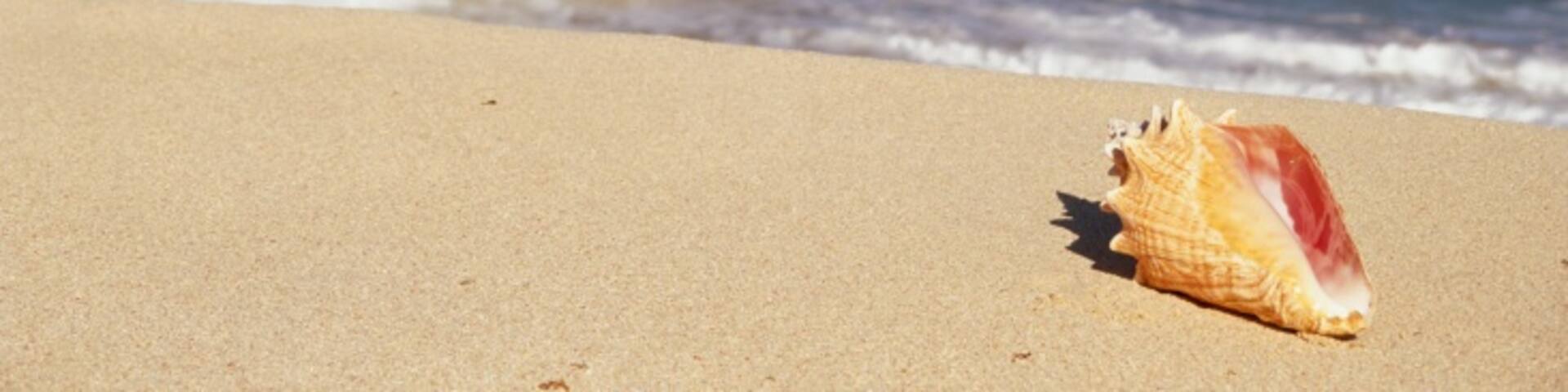 Freetown, Saint Philip, Antigua y Barbuda