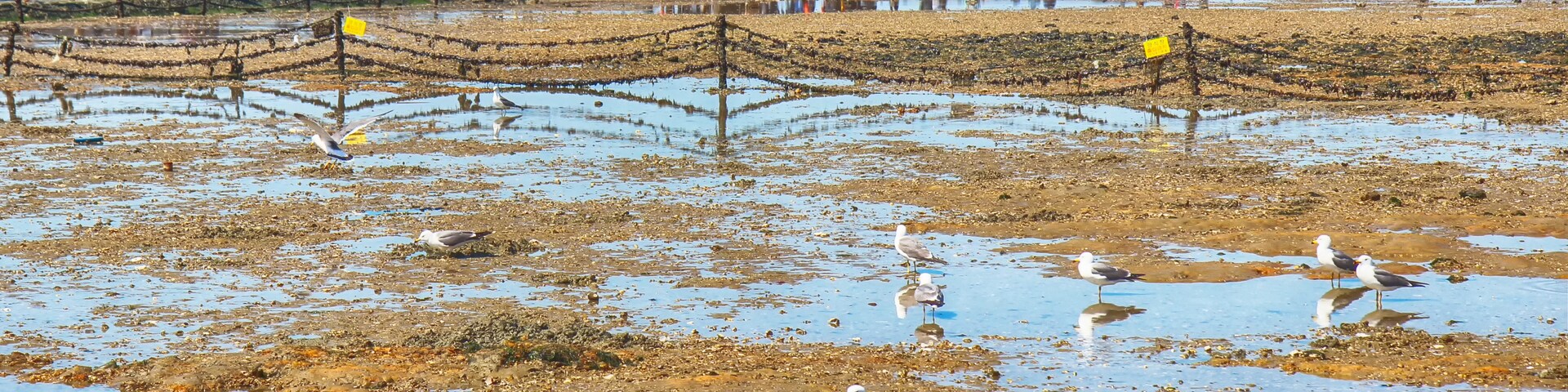 South Chungcheong, South Korea