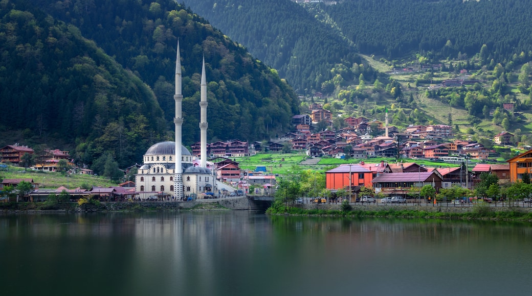 Çaykara, Trabzon, Tyrkland