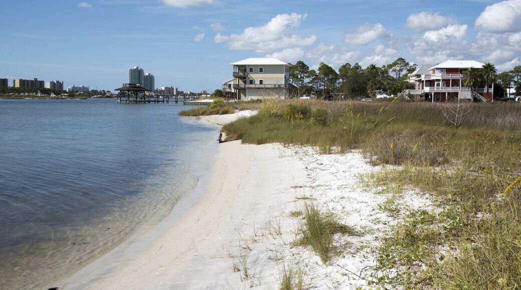 Bon Secour Bay