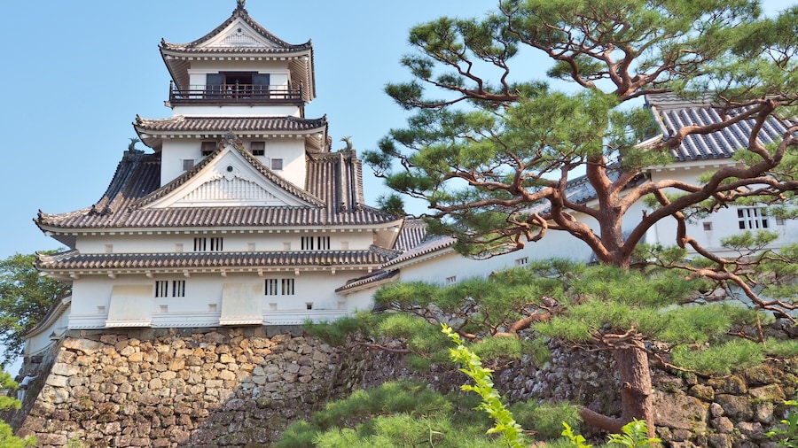 Castillo de Kochi