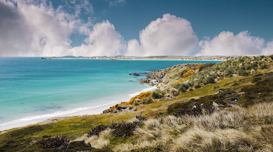 Quần đảo Falkland