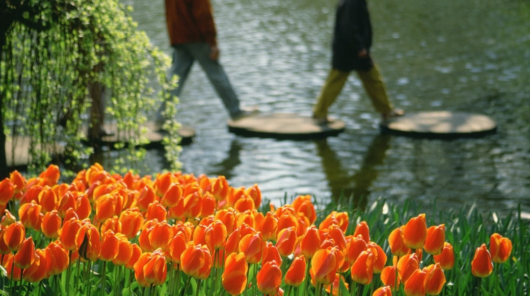 Jardines de Keukenhof