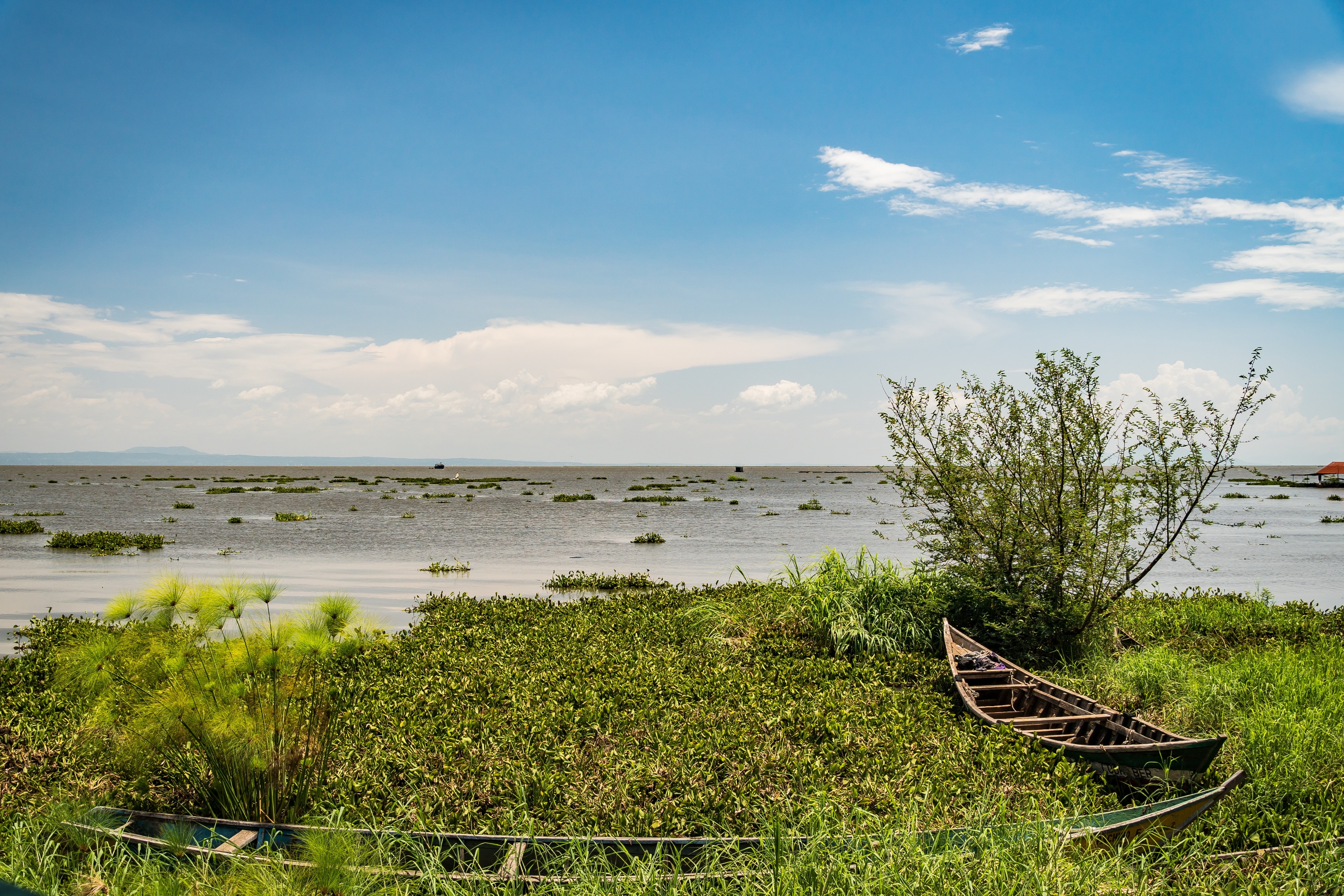 Kisumu	County