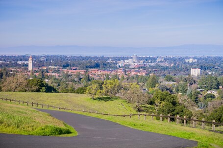 Palo Alto