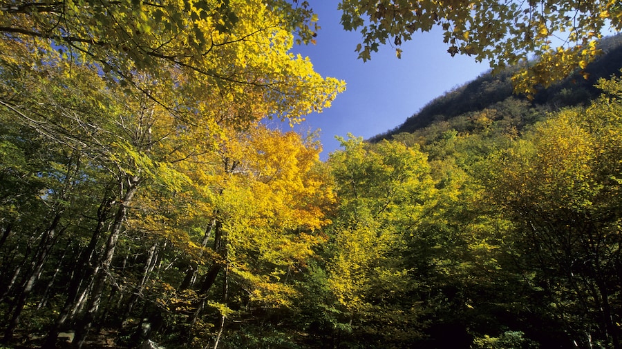 Smugglers Notch