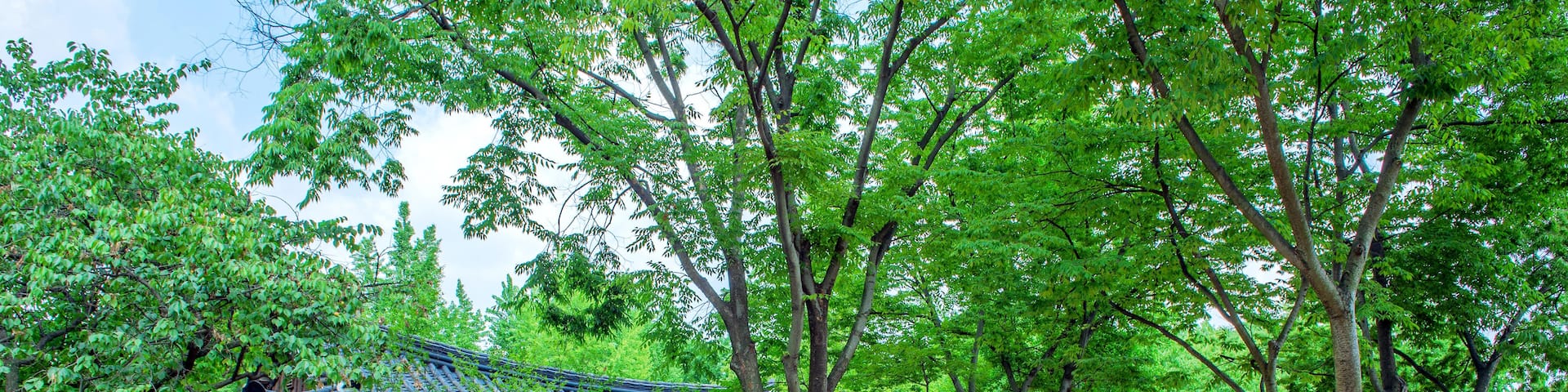 Giheung-gu, Yongin, Gyeonggi, South Korea