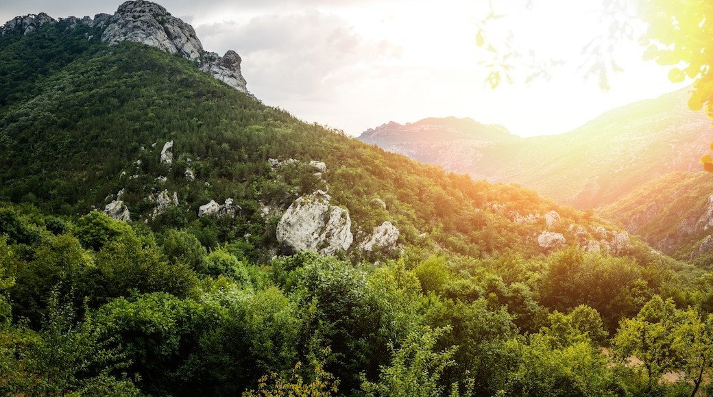 Požega-Slavonië