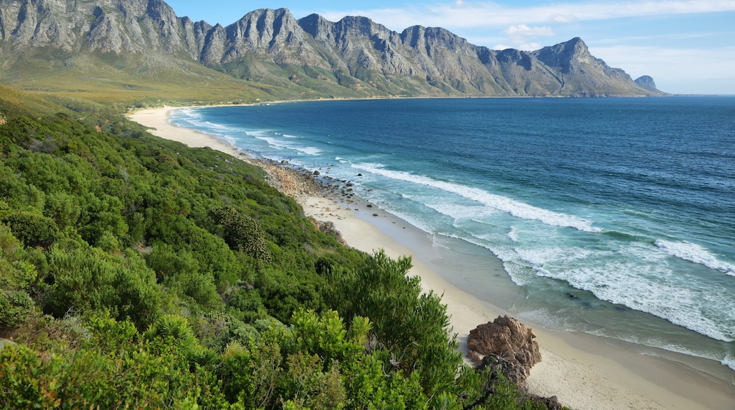 Cape Winelands, Western Cape (επαρχία), Νότια Αφρική