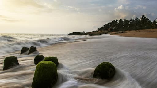 Mangaluru