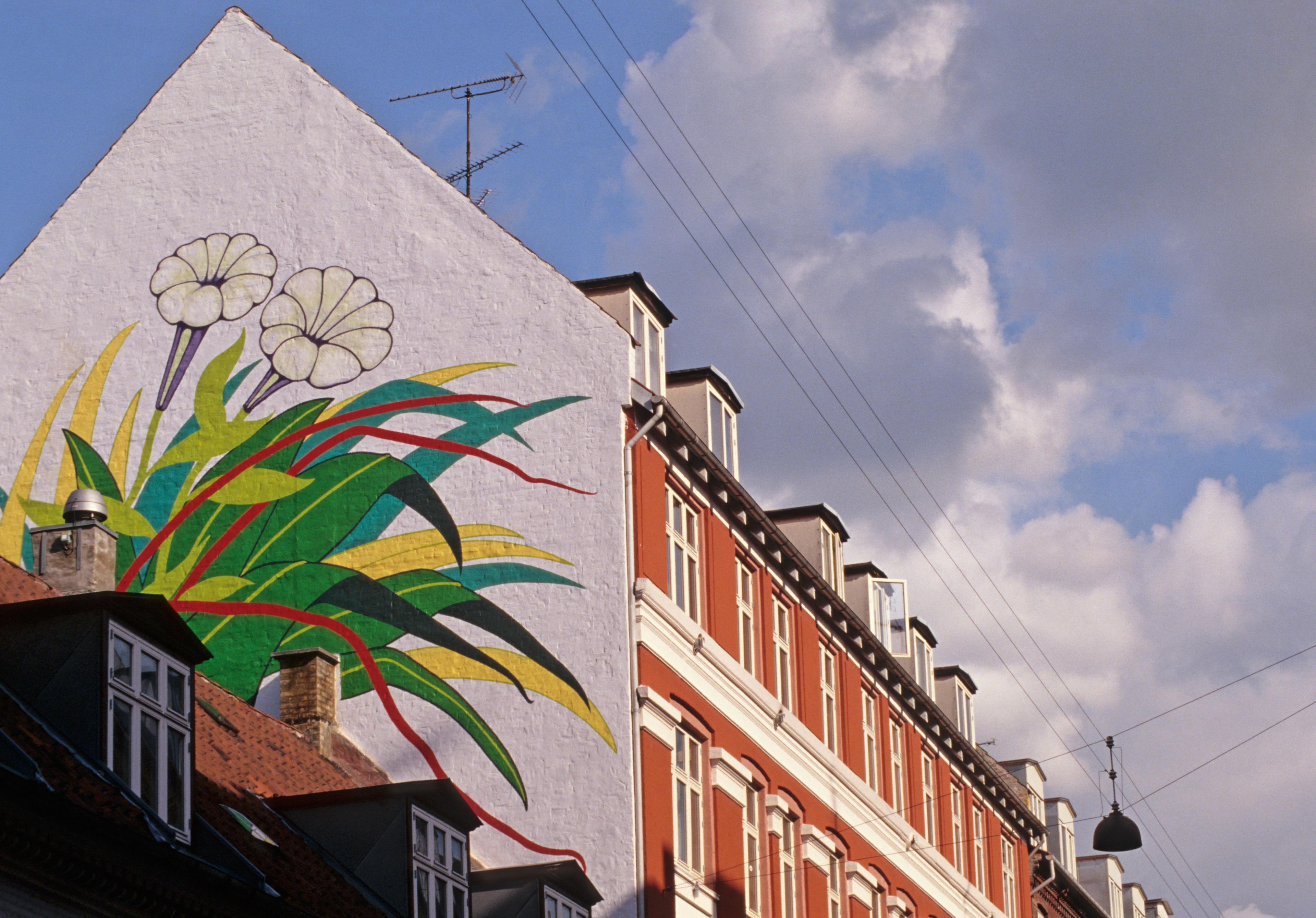 Tour a piedi di Norrebro a Copenhagen con piccoli gruppi 2024 - Copenaghen