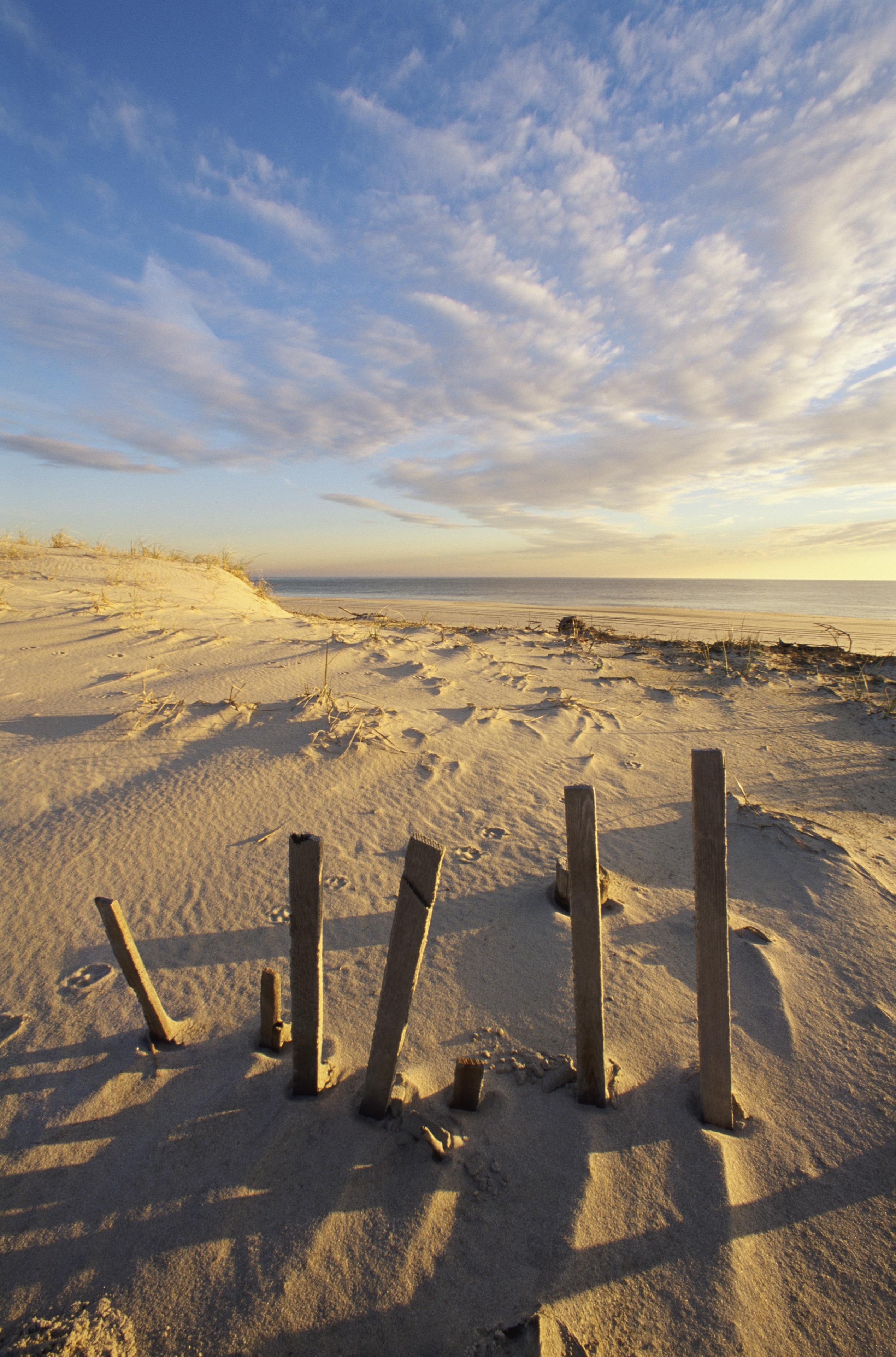 Cape Henlopen Beach, Lewes, Delaware, United States of America