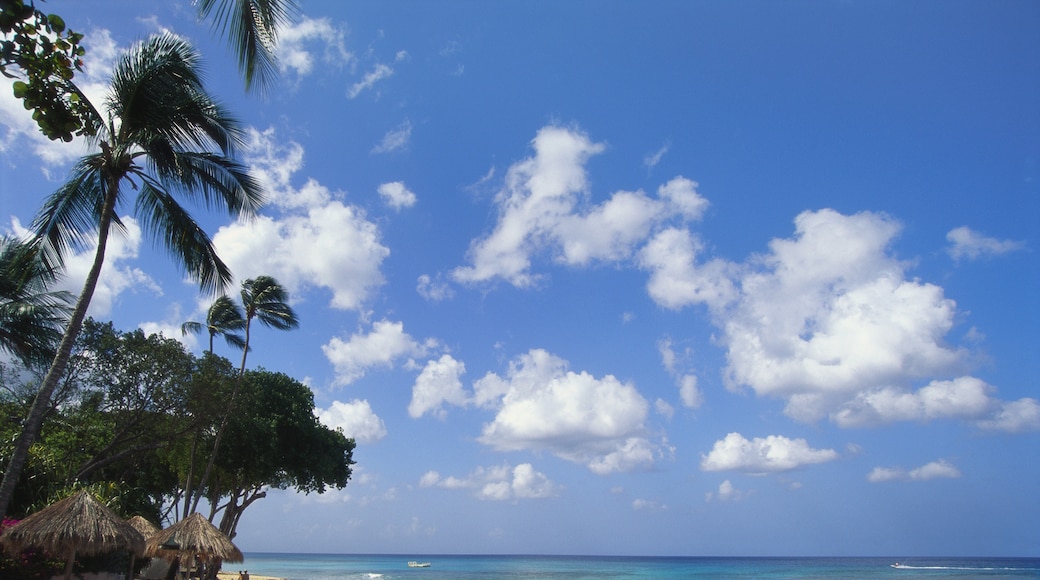 Vịnh Paynes, St. James, Barbados