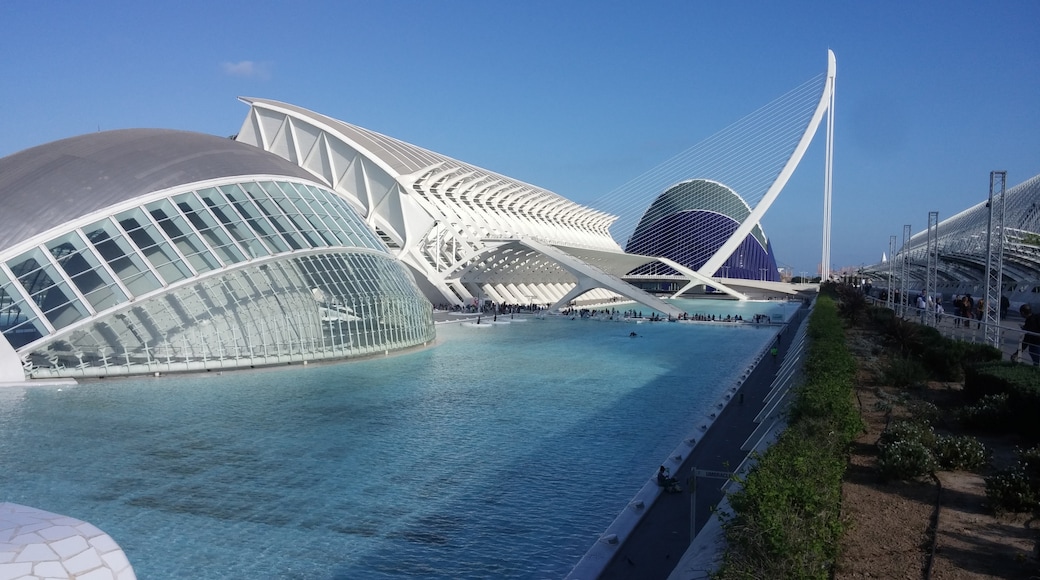 Oceanografic Aquarium, Valencia, Valencian Community, Spain