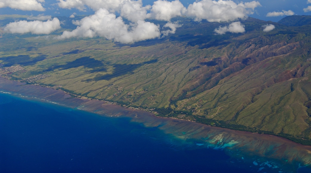 Đảo Molokai